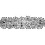 Runner για το τραπέζι spider web